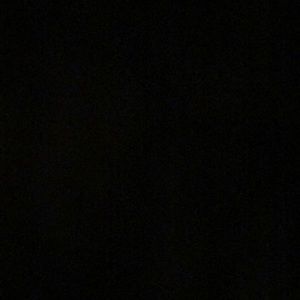 Meet your Posher, Janae